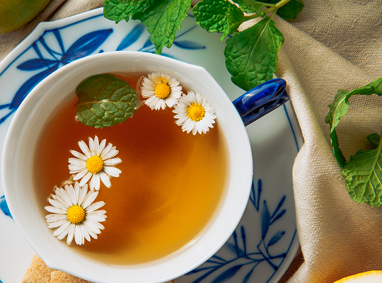 image 2026 02 25T141154.695